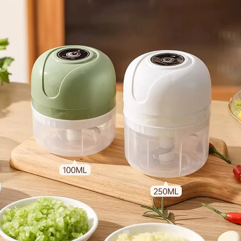 1 electric meat grinder, garlic puree machine, mini 250ML ginger chili chopper, onion grinder, kitchen food mixer