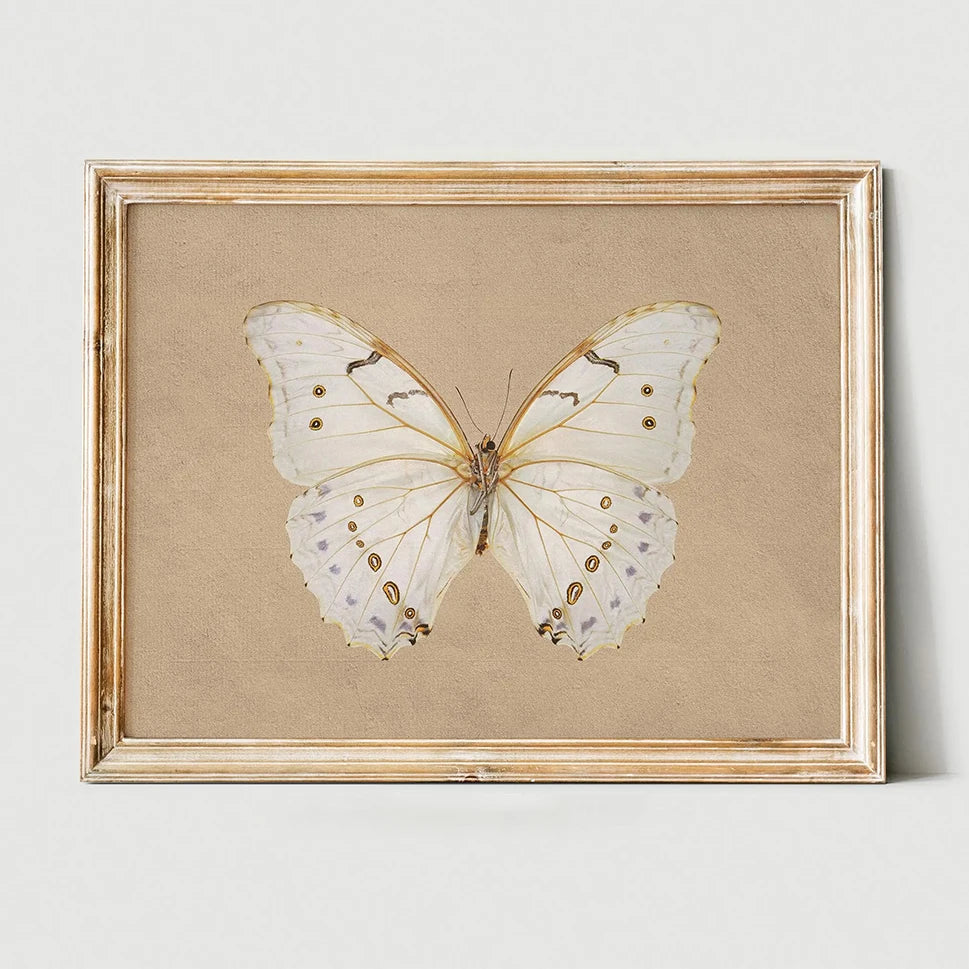 White Butterfly White Swan Animal Canvas Print Dark Moody Insect Antique Moth Wall Art Poster for Modern Living Room Home Decor