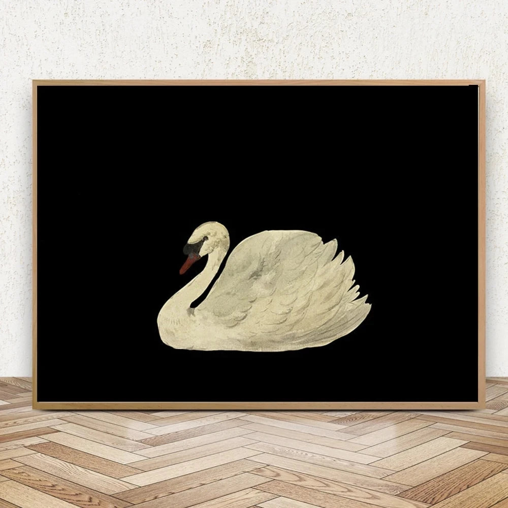 Black White Antique Swan Poster Print Canvas Painting Minimalist Vintage Wall Art Pictures for Living Room Home Decor
