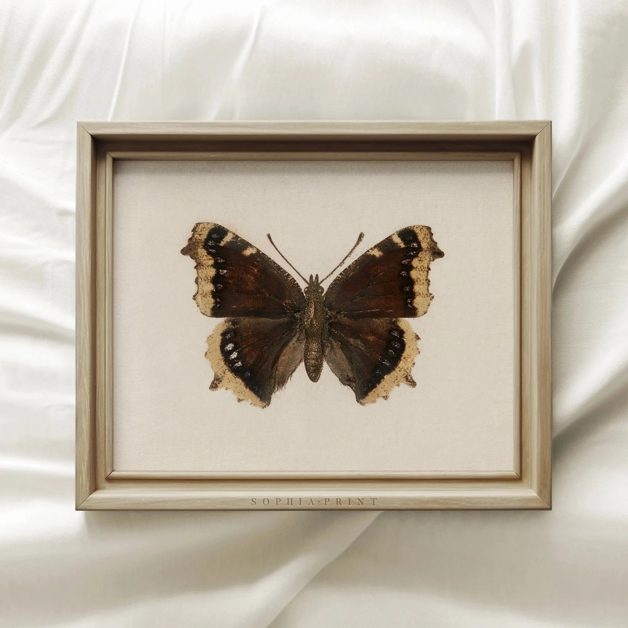 White Butterfly White Swan Animal Canvas Print Dark Moody Insect Antique Moth Wall Art Poster for Modern Living Room Home Decor