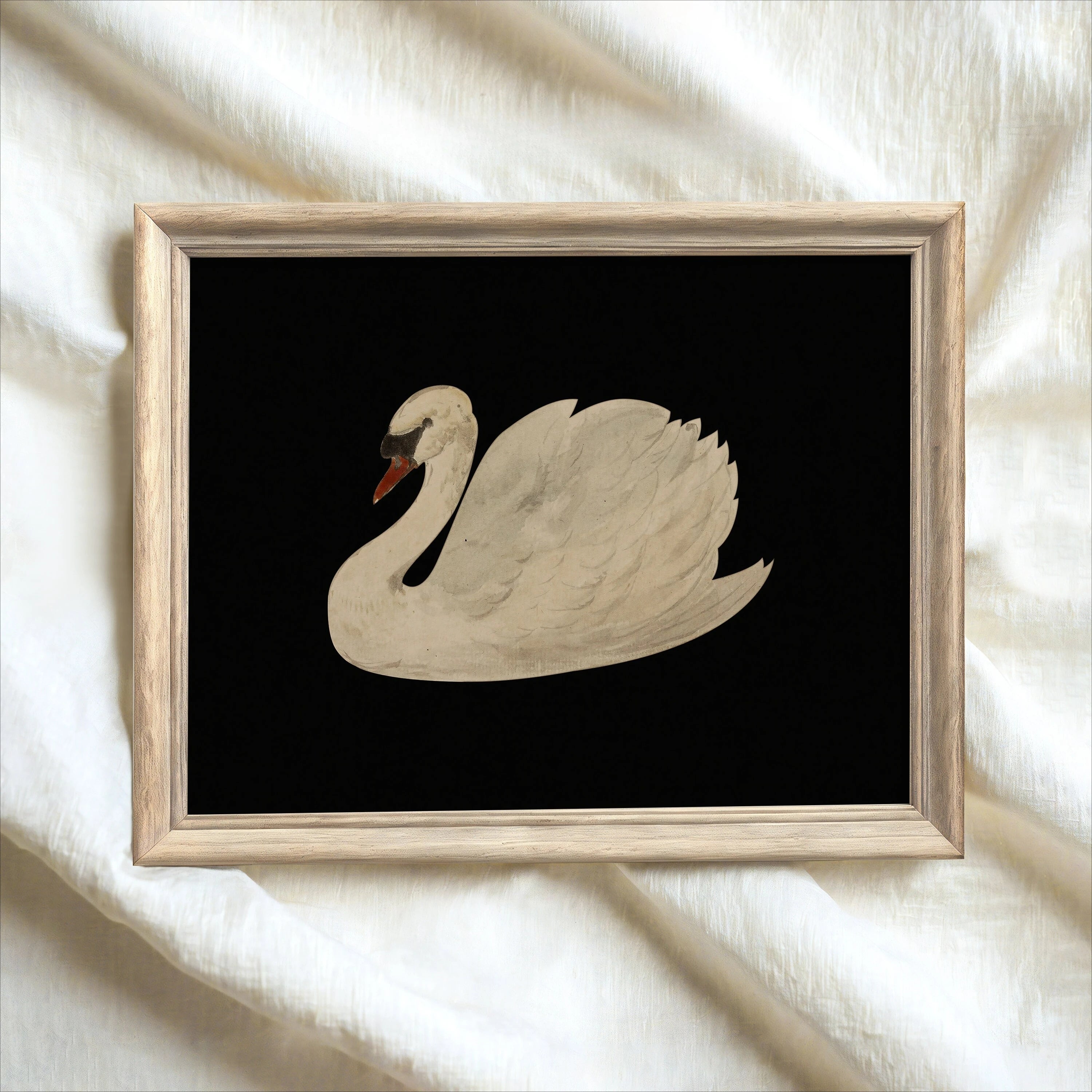 White Butterfly White Swan Animal Canvas Print Dark Moody Insect Antique Moth Wall Art Poster for Modern Living Room Home Decor