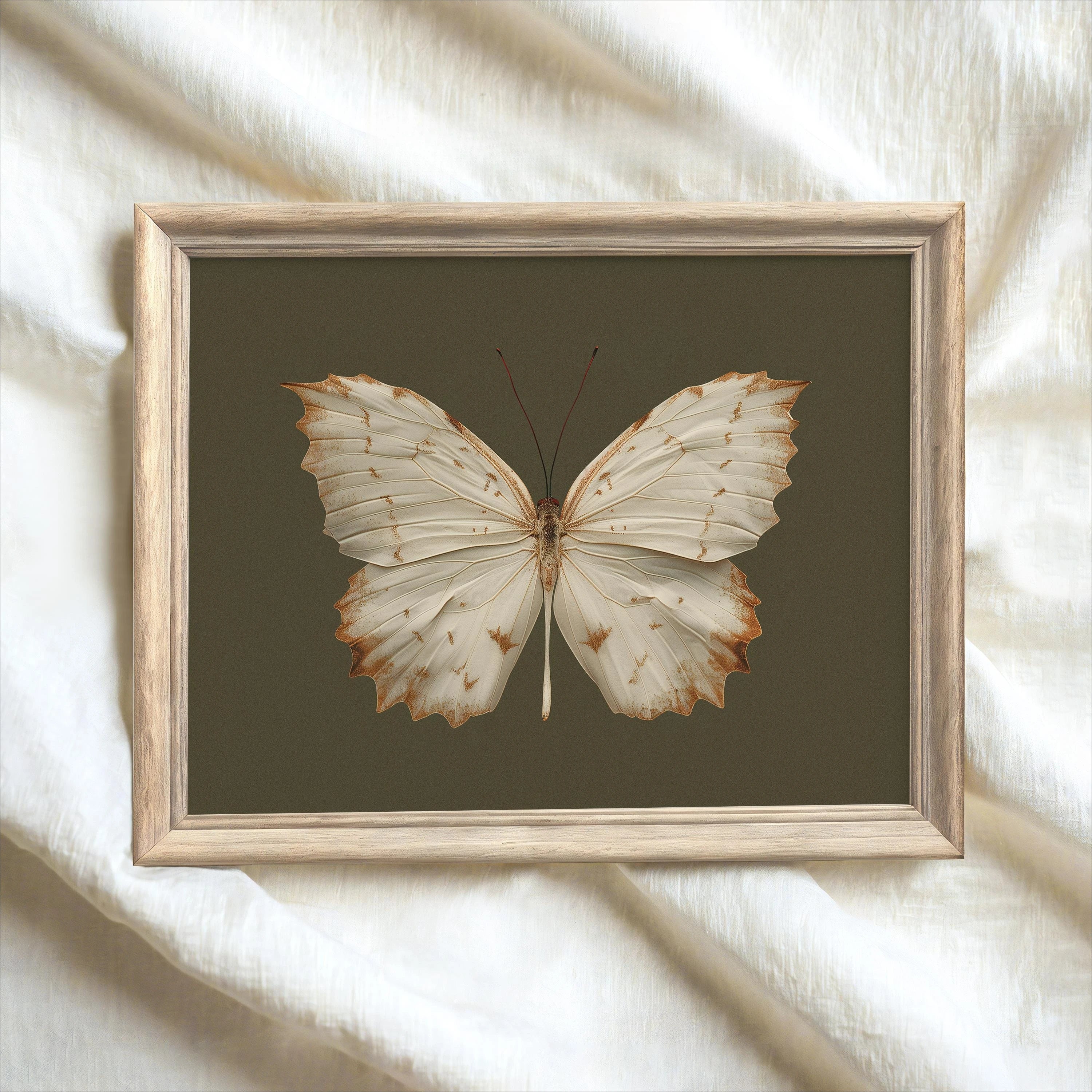 White Butterfly White Swan Animal Canvas Print Dark Moody Insect Antique Moth Wall Art Poster for Modern Living Room Home Decor