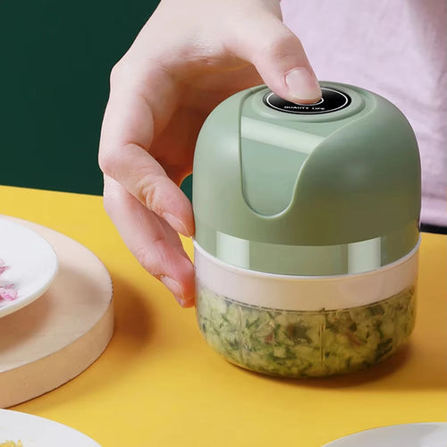 1 electric meat grinder, garlic puree machine, mini 250ML ginger chili chopper, onion grinder, kitchen food mixer