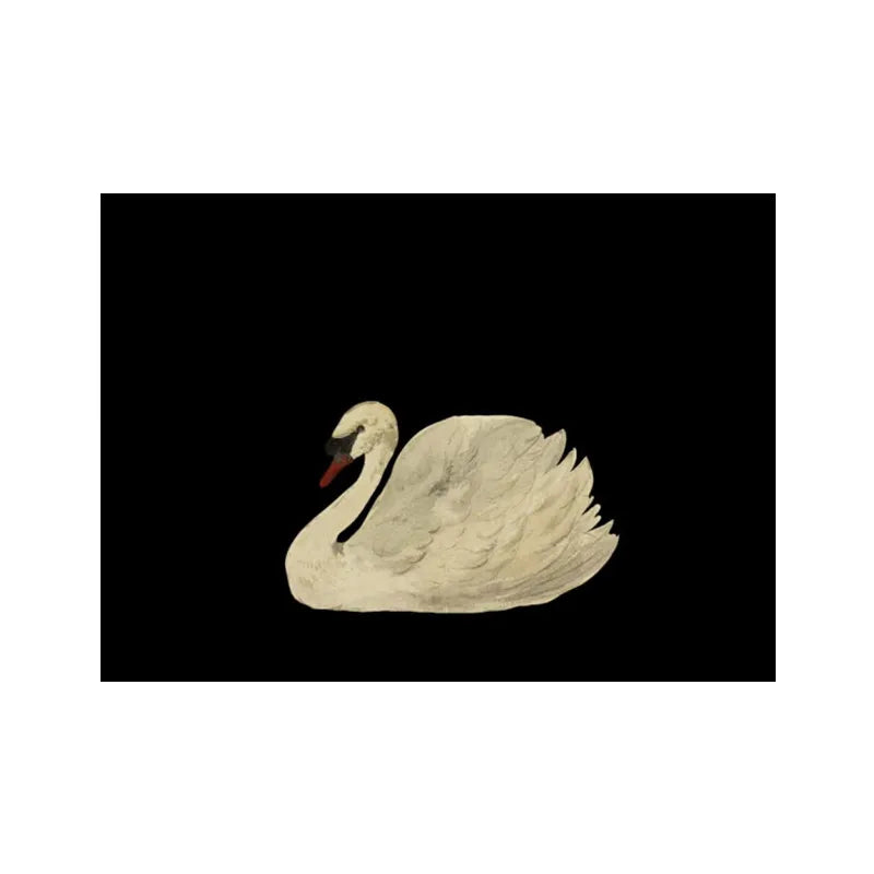 Black White Antique Swan Poster Print Canvas Painting Minimalist Vintage Wall Art Pictures for Living Room Home Decor